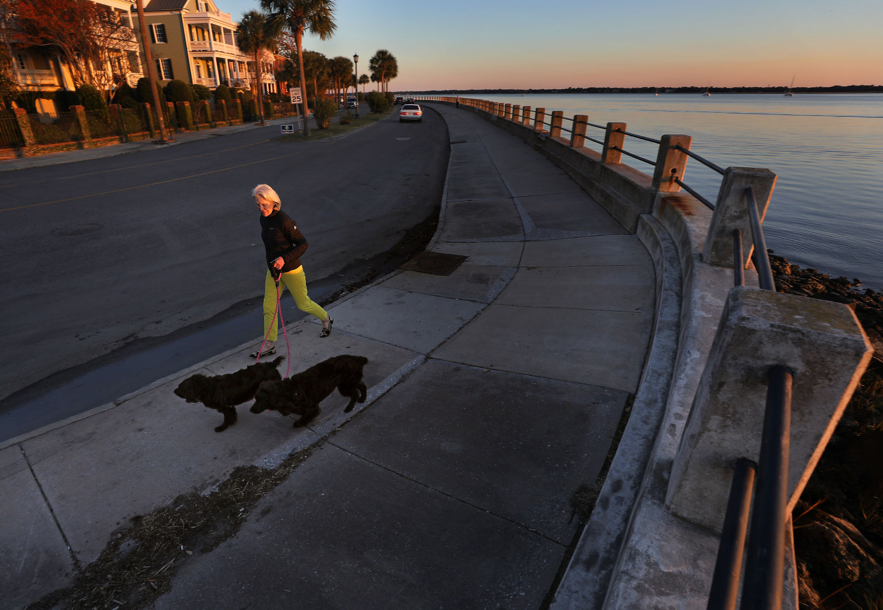 Dog walk low battery.jpg